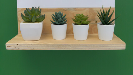 A simple neatly eco solution for a flower shelf. Shelf made of wooden slats. Cacti in small flower pots