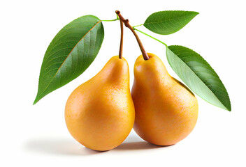 Couple of ripe pears with green leaves isolated on white background