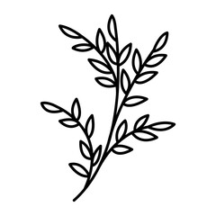 Fototapeta premium Vector drawing of a spring flower in the doodle style. vintage flower, template, wedding card, invitation, greeting card, poster, postcard.