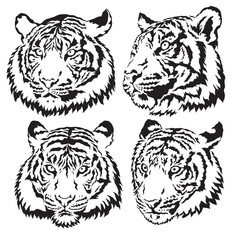 tiger vector