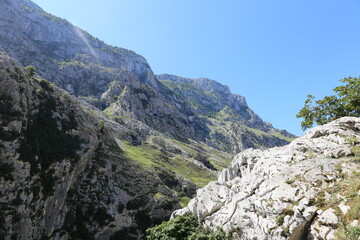 Paisaje rocoso 