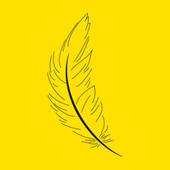 feather line art logo design template