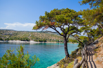Panoramic view of summer natural beauty, turquoise color of seawater, beautiful and clean Aegean sea. Pine trees. Holiday travel concept. Rocky shoreline.	

