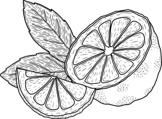 Full lemon with black line, png file