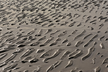 Nature background. rippling patterns in sand with water on the beach along the north sea coast