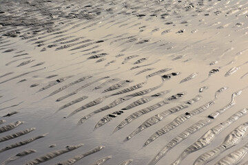 Obraz premium Nature background. rippling patterns in sand with water on the beach along the north sea coast
