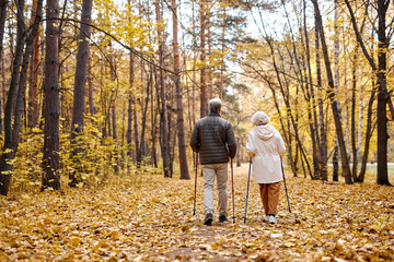 Rear view on elderly couple in love engaged in Nordic walking going in autumn nature park, forest....