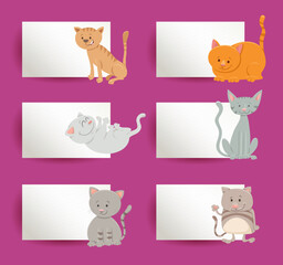 cards design set with cartoon cats and kittens