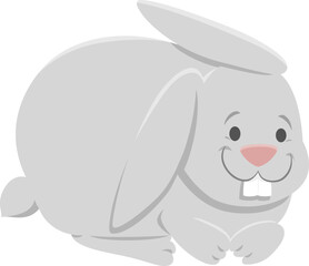 cute rabbit or bunny cartoon animal character