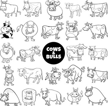 cartoon cows and bulls farm animals big set coloring page