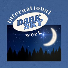 Naklejka premium Composition of international dark sky week text over fir trees with moon and stars