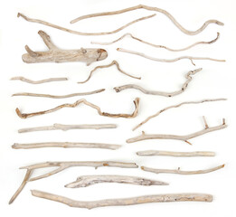 Set of sea driftwood branches isolated on white background. Bleached dry aged drift wood.