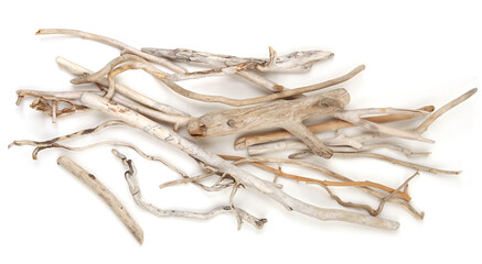 Sea driftwood branches isolated on white background. Bleached dry aged drift wood.