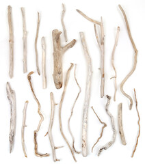Set of sea driftwood branches isolated on white background. Bleached dry aged drift wood.