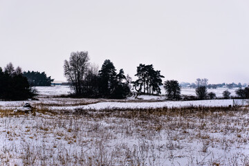Winter view - country 