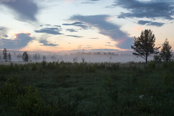 Fototapeta na wymiar Evening fog on the sunset field. Forest tree misty landscape