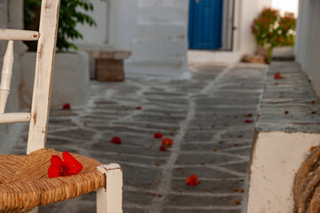 Red flowers on a chair in an alleyway on the Greek island of Paros