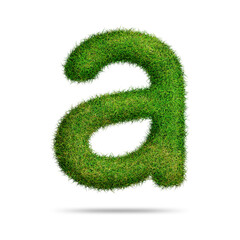 Green grass alphabet letter a for text or education concept
