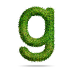 Green grass alphabet letter g for text or education concept
