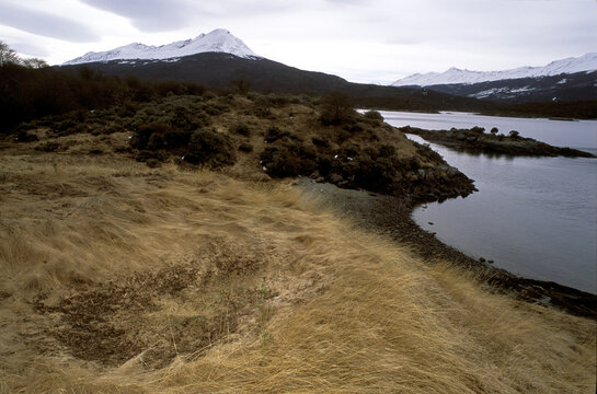Environmental Woes of Tierra del Fuego -- Indigenous Extinction