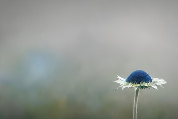 blue flower on grass, generative ai illustration