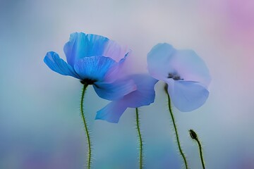 Blue poppy flowers, soft colors generative ai illustration