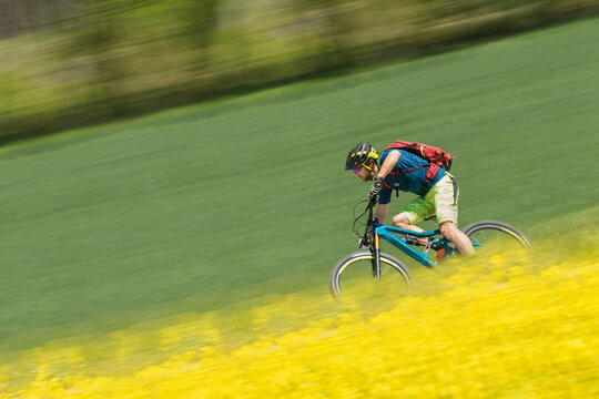 Mountainbiker rides with speed in rapeseed field, Bavaria, Germany