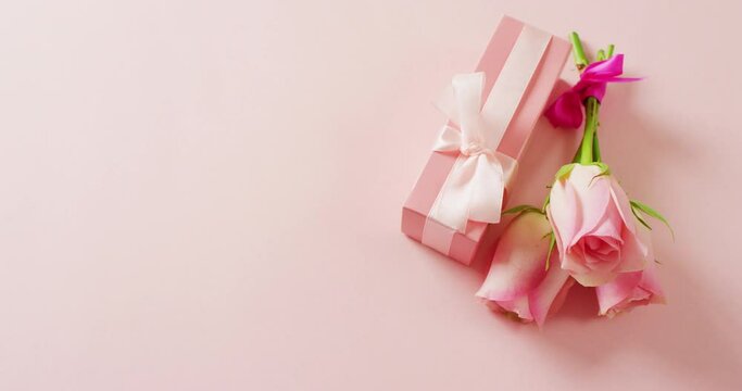 Video of pink roses and box with copy space on pink background