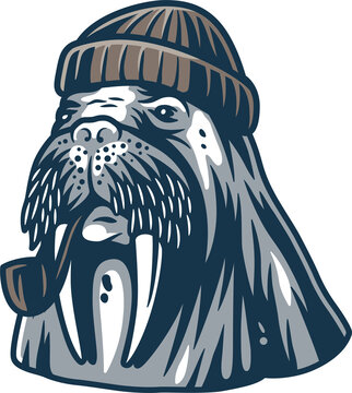 Walrus in a sailor cap with smoking pipe. Nautical marine element for logo and print design