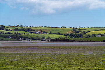 Fototapeta na wymiar Open seabed after low tide, swampy area. Green hilly landscape on a sunny summer day. White clouds in a sky. Irish landscape. The coast of Clonakilty Bay.