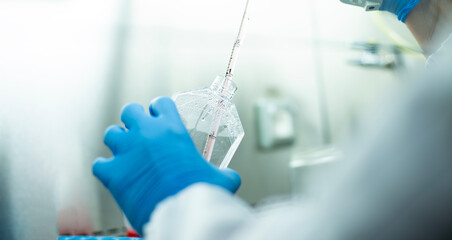 cell culture at the  biosafety cabinet