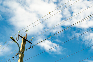 Power electric pole with line wire on colored background close up