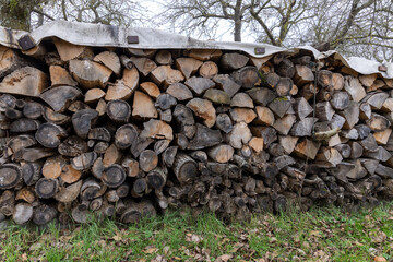 Firewood in times of Ukraine war and gas shortages