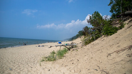 sand dunes and beach