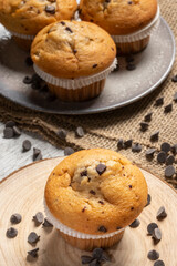Muffin or cupcake with chocolate chips on wooden table background. Concept of making industrial or homemade pastries.