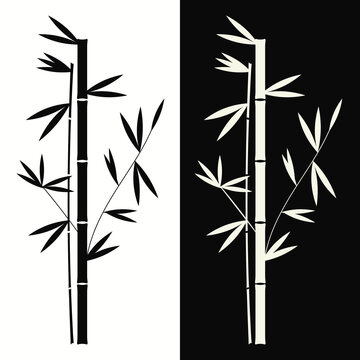 An illustration of mirrored black and white bamboo. Vector © Tetiana