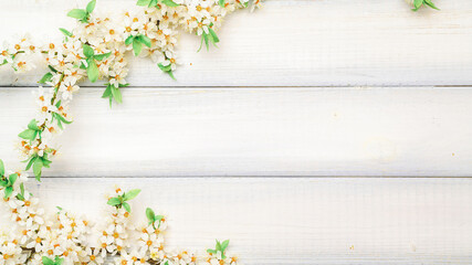 Sakura blossom flowers and may floral nature on wooden background. Branches of blossoming cherry against background. Copy space.