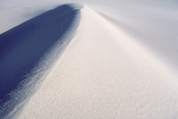 Sand Dunes, Cape Cod, MA USA
