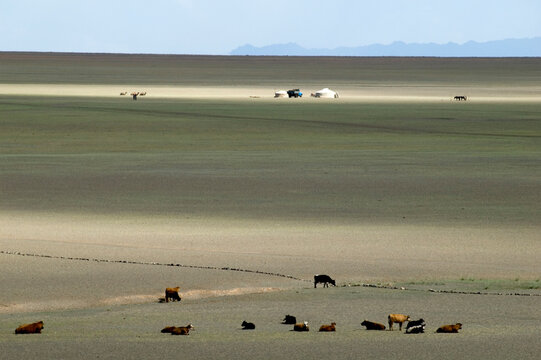Gobi desert nomads