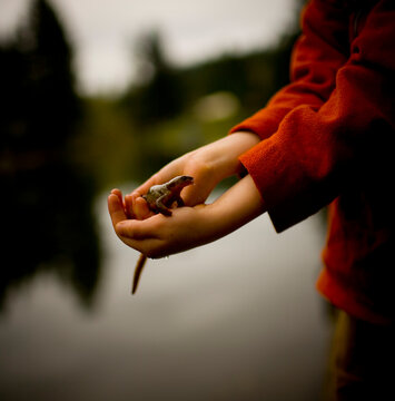 A boy holding a salamander