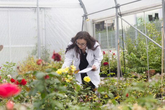 Female scientist inspecting flowers at greenhouse, Freiburg im Breisgau, Freiburg im Breisgau, Germany