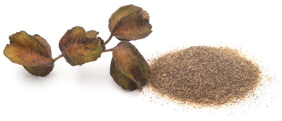 Ayurvedic arjun fruit with ground powder