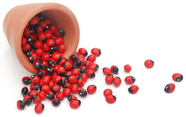 Abrus precatorius or Indian liquorice Seeds