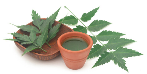 Fototapeta premium Medicinal neem leaves with extract