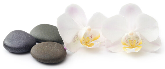 Obraz na płótnie Canvas Spa stone with orchid flower