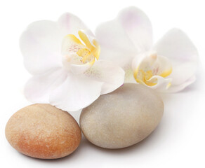 Naklejka na ściany i meble Spa stone with orchid flower