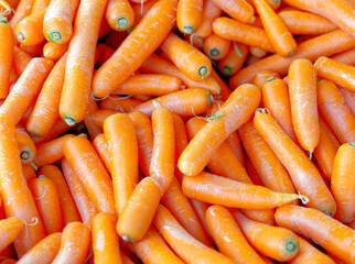 Raw, organic carrots top view closeup, tasty orange background.