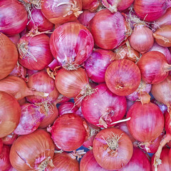 Organic onions top view close-up for sale. Spicy natural  background.
