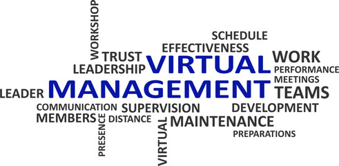 word cloud - virtual management