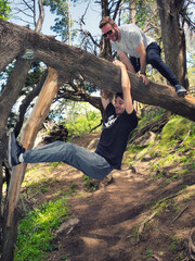 In the middle of a path, man hanging from tree trunk and another upstairs balancing © David
